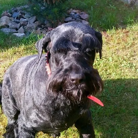 Gerendaház Domki Letniskowe W Wapnicy