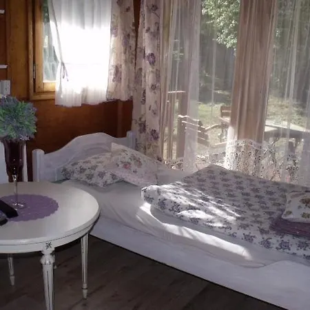 Domki Letniskowe W Wapnicy Lubin